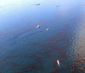 Boats on water with oil on the ground in the Gulf of Mexico