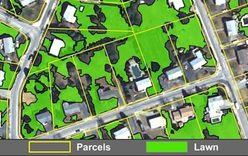 Map of land cover in a Boston suburb showing similar proportions devoted to lawn and tree cover.