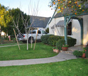 U.S. urban landscape from Phoenix showing a house with a green lawn, treese and a parked car.