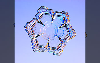 A variation of a stellar plate snow crystal