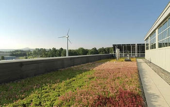 Photo of a roof with plants growing and a wind turbine in the background