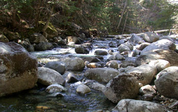 Photo of a stream with boulders in the streambed.