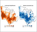 Maps of the Midwest showing landscape simplification on left and relative insecticide use on right.