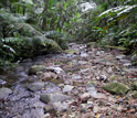 Photo of Luquillo in Puerto Rico, which will be the subject of a talk about stream and river flow.