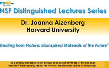 title slide Joanna Aizenberg distinguish lecture