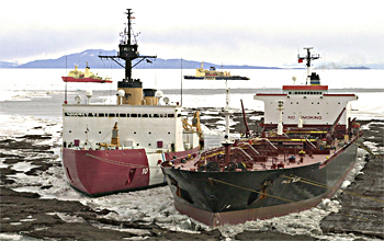 Ships at McMurdo Station in January 2005