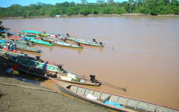 Photo of long boats anchored along the shoreline of a river in the Peruvian Amazon.