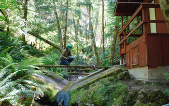 Researchers at NSF's H.J. Andrews Forest LTER site collect water quality data.