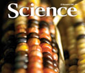 Cover of the Nov. 20, 2009, issue of Science magazine.