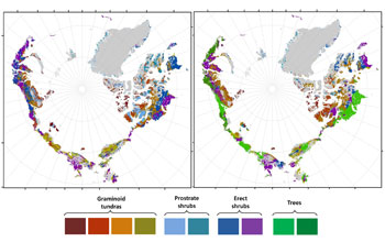 A map of predicted greening of the Arctic