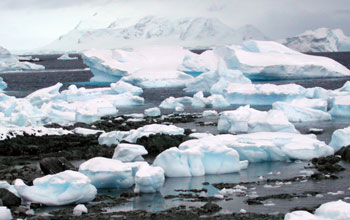 The Arctowski Peninsula (64°45'S, 62°25'W) shoreline, Antarctica