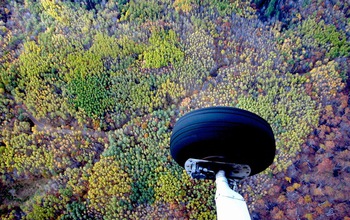 Aerial photo showing color differentiation of genetically distinct aspen clones in Wisconsin.