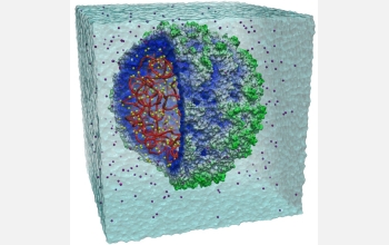 Researchers completed the first all-atom simulation of satellite tobacco mosaic virus.