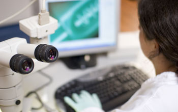 Photo of a woman in a lab working at the computer