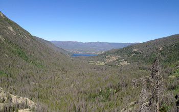 Mountain with dried trees in a forest overlooking Grand Lake, Colorado