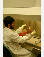 Photo of Daniel Streicker collecting brain sample from a rabid bat.