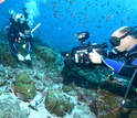 Researchers with exuipment under water sample lobe corals of the species Porites lobata.