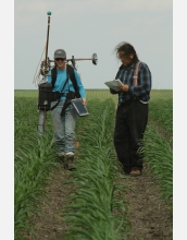 Margaret Ingalls (left) and Steve Finkelman measure properties of corn leaves using the N-Checker