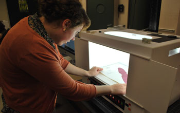 Researcher Clare Loughran takes a digital photo of a red seaweed using a special light box.