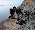 Cientistas recolhem fósseis na Groenlândia