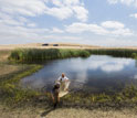 Scientists searching a pond