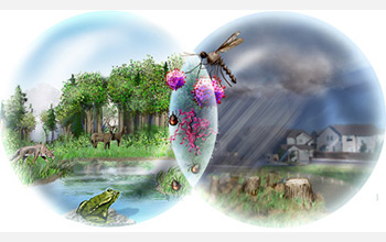 Illustration with healthy forest on left, deforestation on right, and mosquito and ticks in middle.