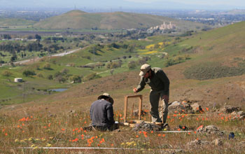 Photo of Daniel Slakey and Anton Clifford in a serpentine grassland near San Jose, Calif.