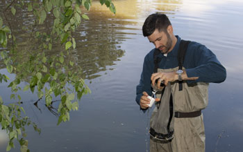Scientist Mark Urban filters a tow net sample of zooplankton from a pond.