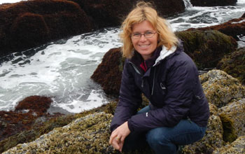 Scientist Emily Carrington among blue mussels on southern Maine's rocky shores.