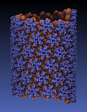 All-atom structure of an HIV virus capsid in its tubular form.
