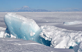 The blue underside of a slab of sea ice protrudes up through the surrounding ice