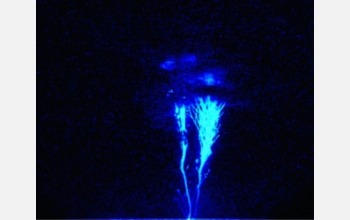 This is the first image ever captured of blue jet lightning