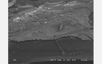 Electron microscope images showing significant cracking of a bone under high deformation rates.
