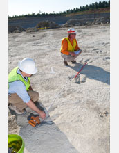 Researchers measure the distance between dinosaur tracks