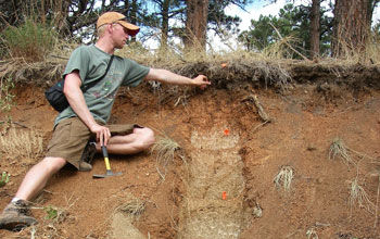 Scientist Ken Nelson collecting soils beneath trees at the Boulder Creek CZO.