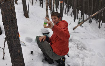 Researcher T. Joe Mills samples winter snows in the Boulder Creek watershed.