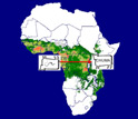 Green zone in Africa map has tsetse flies in that infect cattle with fatal trypanosomes.