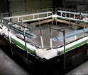 Photo of a photobioreactor for growing marine microalgae.