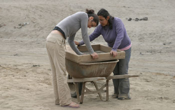 Screening material for archaeological artifacts in Peru