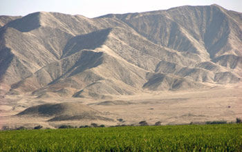 An overview of Caballete in the Fortaleza Valley