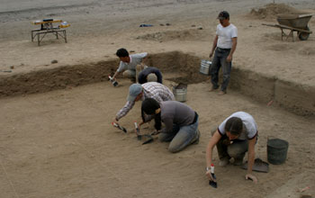 Archaeological crew cleans a surface at dig site in Peru