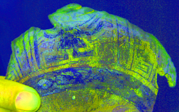Color-enhanced image of image on gourd fragment, excavated in Peru