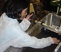 A team member lays peat from New Orleans into the centrifuge sample chamber.