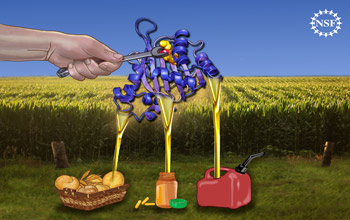 Illustration of a wrench holding a plant protein connected to gasoline, pill bottle, food basket.