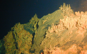Loihi Seamount structures built by iron-oxidizing microbes.