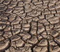 Close up image of cracks open in the land in Sonoran desert