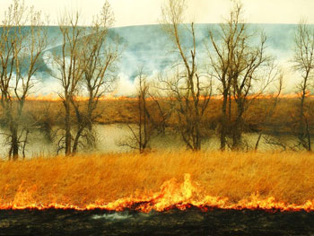 a burning prairie.