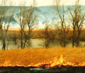 a burning prairie.