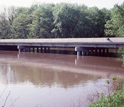 Photo of an Illinois river at flood stage.
