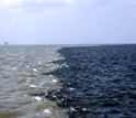 Photo of the sediment laden Mississippi River on left and Gulf of Mexico on the right.